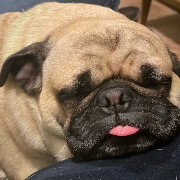 Meet your Posher, Kelli - Picture 1 of 1